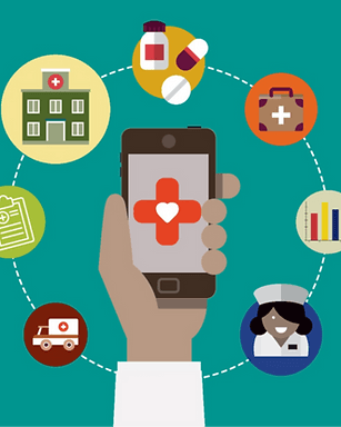 Proceedings of the 12th Health Informatics in Africa Conference